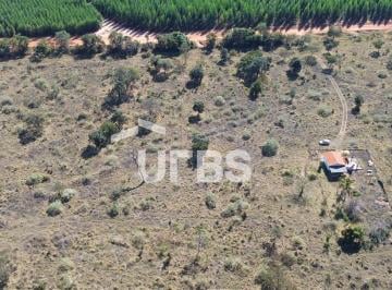 Comercial · 45m² · 3 Quartos · Fazenda com 20ha à venda na Área Rural de Uberlândia