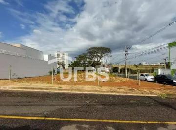 Comercial · 250m² · Terreno com 250m² à venda no Bosque dos Buritis