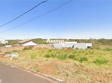 Terreno · 250m² · Terreno com 250m² à venda no bairro Park dos Ipês