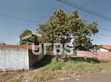 Terreno · 300m² · Terreno com 300m² à venda no bairro Lagoinha
