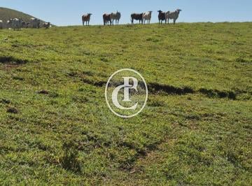 Rural · 171ha · 4 Quartos · 14 Vagas · Fazenda pé no Asfalto oportunidade  171 HECTARES SAO JOSE DOS CAMPOS SP