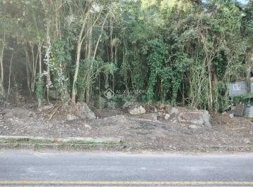 Terreno · 35000m² · Lindo lote com 35.000m ² com viabilidade construtiva no Ribeirão da Ilha.