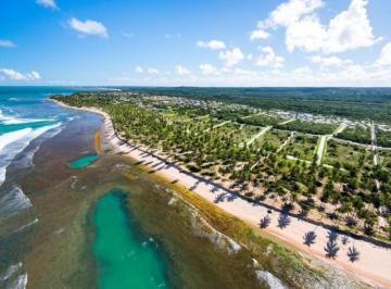 Foto 01 · PRAIA DO FORTE - CONDOMÍNIO PISCINAS NATURAIS: Lotes nos condomínios: Tartarugas e IPÊS 630,00m2 e