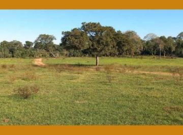 Rural · 70HA DE TERRAS PASTAIS E LAVRADIAS, PARTE DA FAZENDA BARREIRO PRETO, CARACOL/MS.
