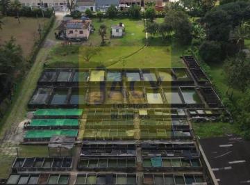 Rural · 1300m² · 3 Quartos · 20 Vagas · Granja em Igarassu com casas e viveiros de peixes 1.300m2