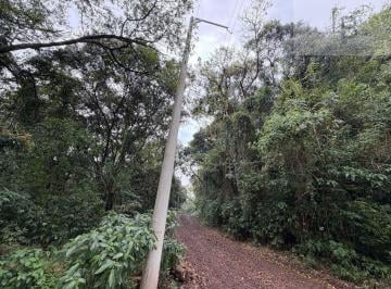 Rural · 20000m² · Sítio em Boa Esperança, Rolante/RS