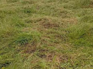 Terreno · 400m² · Terreno, Vila Oliveira, Mogi das Cruzes - R$ 420 mil, Cod: 4724