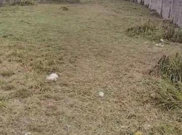 Terreno · 1320m² · Terreno, Vila Oliveira, Mogi das Cruzes - R$ 1.1 mi, Cod: 4727