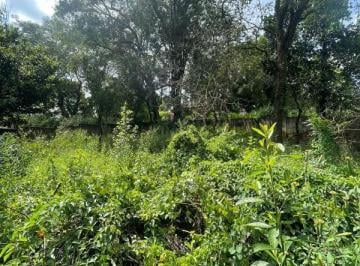 Imagem 1 · Terreno para venda em Centro, Mário Campos