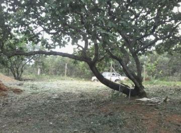 Imagem 1 · Terreno para venda em Centro, Mateus Leme