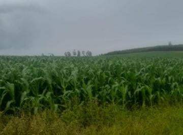 Imagem 1 · Chácara para venda em Área Rural de Guaxupé, Guaxupé
