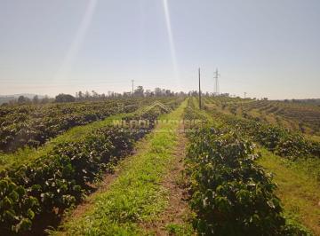 Imagem 1 · Fazenda para venda em Centro, São Gonçalo do Sapucaí