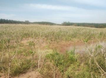 Imagem 1 · Fazenda para venda em Área Rural de Bauru, Bauru