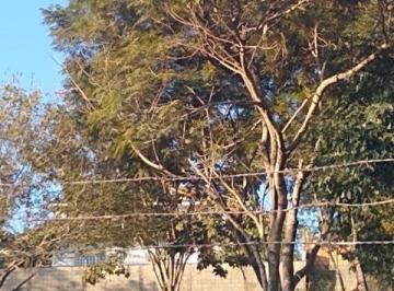 Imagem 1 · Terreno para venda em Jardim Atlântico, Belo Horizonte