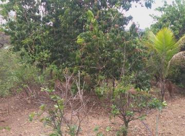 Imagem 1 · Terreno para venda em Palmital, Lagoa Santa