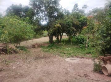 Imagem 1 · Chácara para venda em Centro, São Joaquim de Bicas