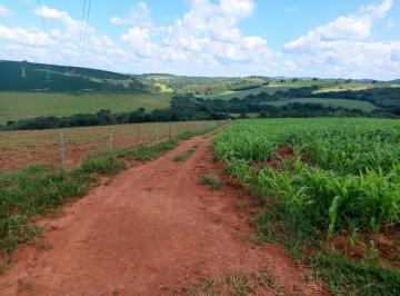 Imagem 1 · Chácara para venda em Nepomuceno