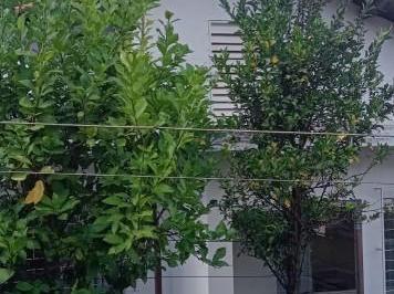 Imagem 1 · Casa para venda em Camargos, Belo Horizonte
