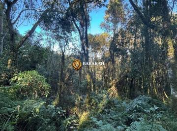 Imagem 1 · Sítio para venda em Fazenda Souza, Caxias do Sul