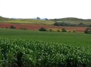 Imagem 1 · Chácara para venda em Área Rural De Andradas, Andradas