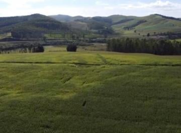 Imagem 1 · Chácara para venda em Área Rural De Andradas, Andradas