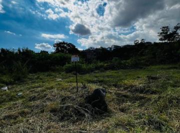Imagem 1 · Terreno para venda em Palmeiras (Parque Durval de Barros), I