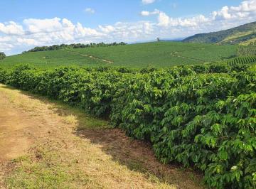 Imagem 1 · Chácara para venda em Centro, Santo Antônio do Amparo