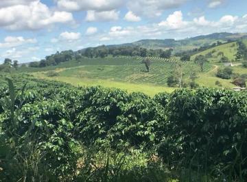 Imagem 1 · Chácara para venda em Centro, Nepomuceno