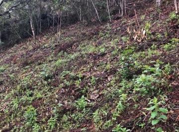 Imagem 1 · Terreno para venda em Centro, Ouro Preto