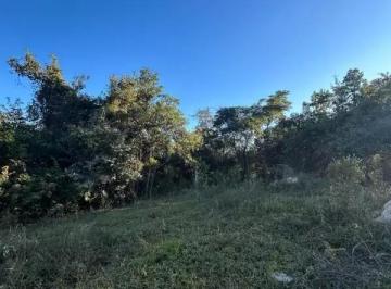 Imagem 1 · Chácara para venda em Centro, Florestal