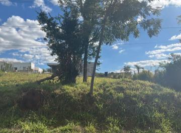 Imagem 1 · Terreno para venda em Centro, Mário Campos