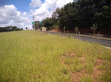 Imagem 1 · Terreno para venda em Centro, Luminárias