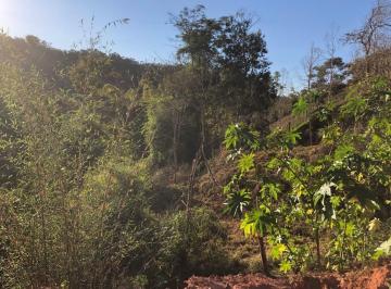 Imagem 1 · Chácara para venda em Mariana
