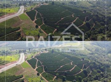 Imagem 1 · Chácara para venda em Área Rural de Três Pontas, Três Pontas