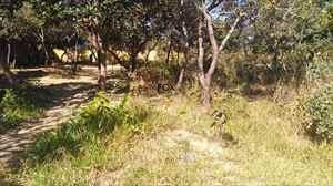 Imagem 1 · Terreno para venda em Trevo, Belo Horizonte