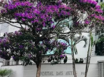 Imagem · CONJUNTO RESID. PORTAL DAS ARTES