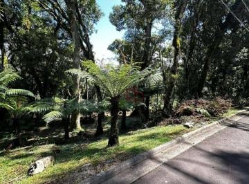 b64faedc11b02a3b0627b45f79a51b91acc6b068 · Terreno à Venda em Gramado!