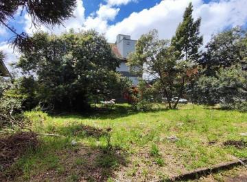 ce8062db5b2787d20335b4ac2bf95fadbbc7a87c · Terreno à Venda em Canela, Ideal Para Investimento