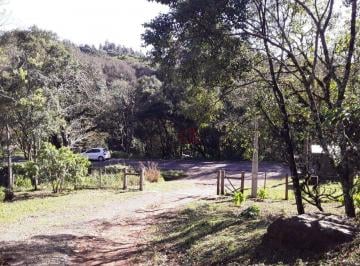 6afab4f823152e4a9936c6cad633ca3fc01133f9 · Sítio à Venda em São Francisco de Paula!