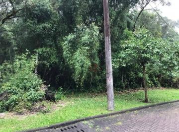 e2e83a5a4267be6fee7f0d42a9eea510e59a3c9b · Terreno à Venda em Canela, no Reserva da Serra!