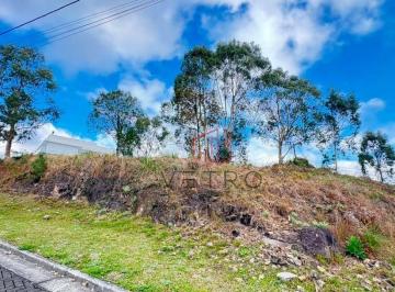 1a43577ac10ae87ffd5ae143da75cc2f5276ca8c · Terreno à Venda em Gramado!