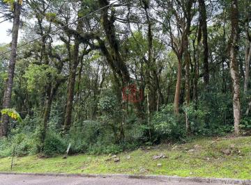 f81bd62b63aa75488d7a6246180845ebb443ae49 · Terreno à Venda em Canela!