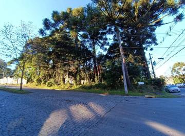 7c037f0da4e0325ee8a08114fb072fcffb1df3c1 · Terreno à Venda em Canela!