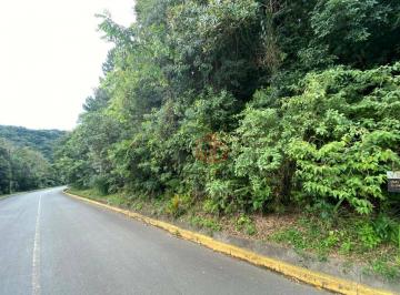 42542398ceb0fa49dbcbcd5f289d734e1a5c6c87 · Terreno à Venda em Canela!