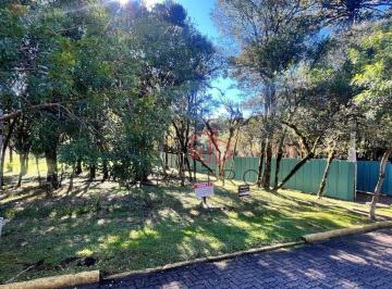 2dbd73852dc7c4a94eff766c8af35f28625bf241 · Terreno à Venda em Canela, no Pinheiro Grosso!