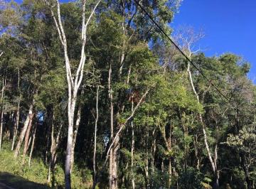 90e7940d1c4b9f5018e98c0e1945e5ad9b1f0623 · Terreno no bairro Floresta em Gramado!