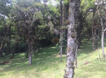 ed909790ef53d9acf31fa7858543865c878bdce7 · Terreno à Venda em Canela!