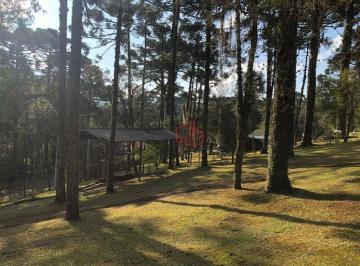 982e1e6e8f2905bbfc968fb9a02d1306da0a7e53 · Casa à Venda em Canela!