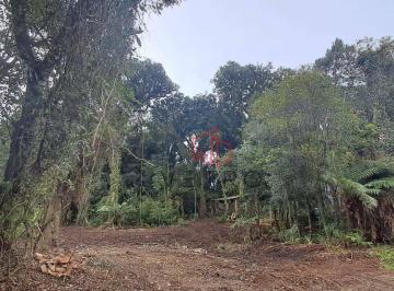 493fb0654d357810169fb1280d140afbd4204465 · Terreno à Venda em Canela!