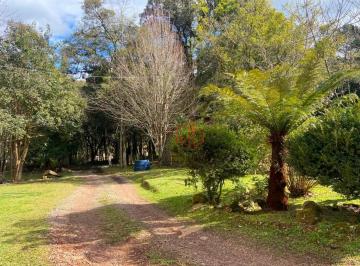 748a8aebca5b795a71a63827c351d2f85ea9c1c3 · Terreno à Venda em Gramado!